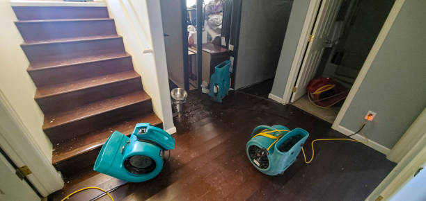 Best Water damage contractors near me  in Summit, WA