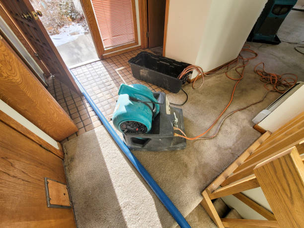 Best Professional water damage repair  in Summit, WA