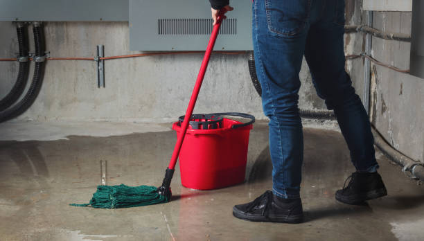 Best Water damage restoration process  in Summit, WA