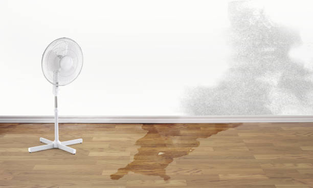 Best Residential water damage restoration  in Summit, WA
