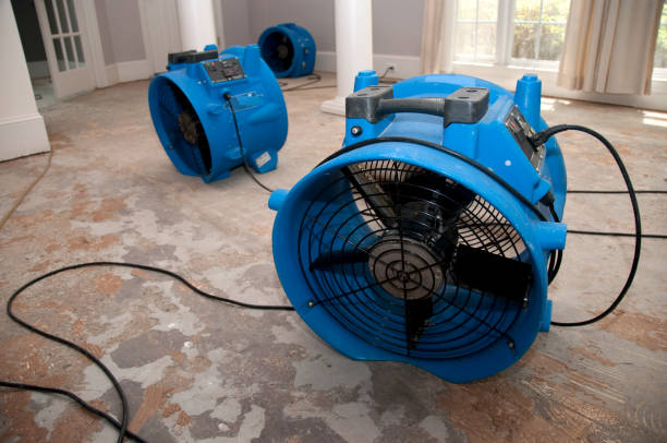 Best 24/7 water damage repair  in Summit, WA