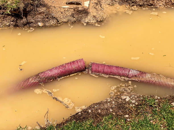 Trusted Summit, WA Water damage restoration Experts